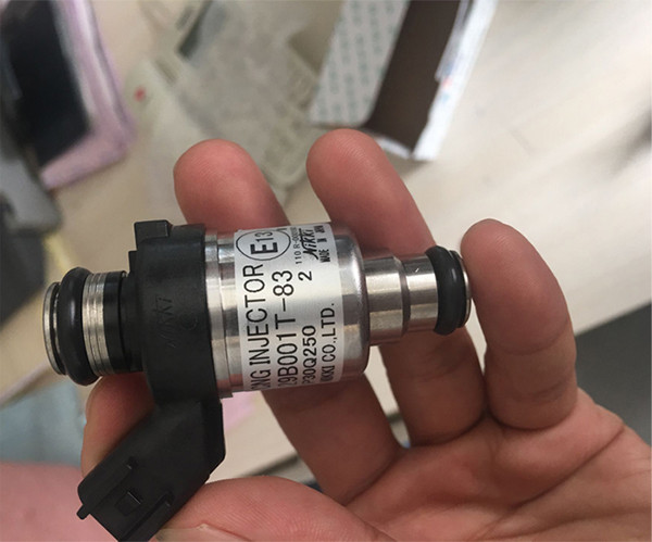 Nikki 29b001-832 fuel lpg cng lng rail gas injector nozzle for bus